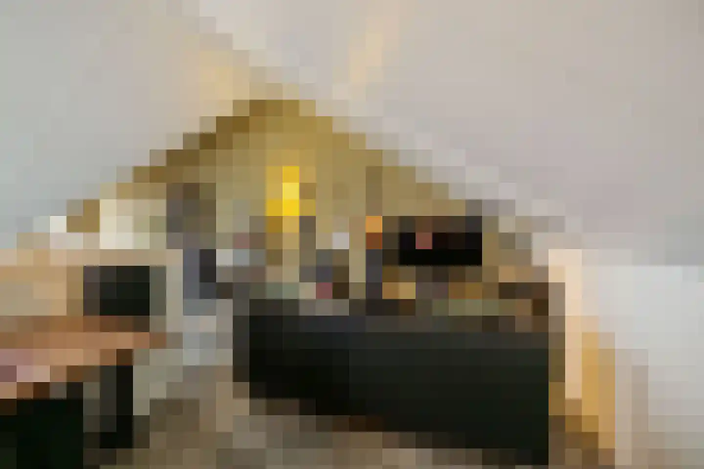 Anserstraat 4 Zuidhorn thumbnail 51