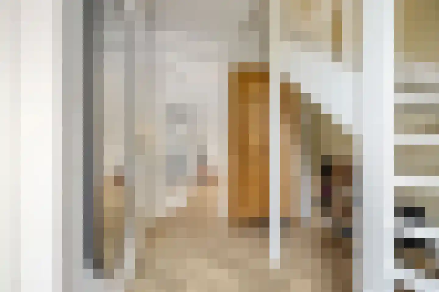 Anserstraat 4 Zuidhorn thumbnail 8
