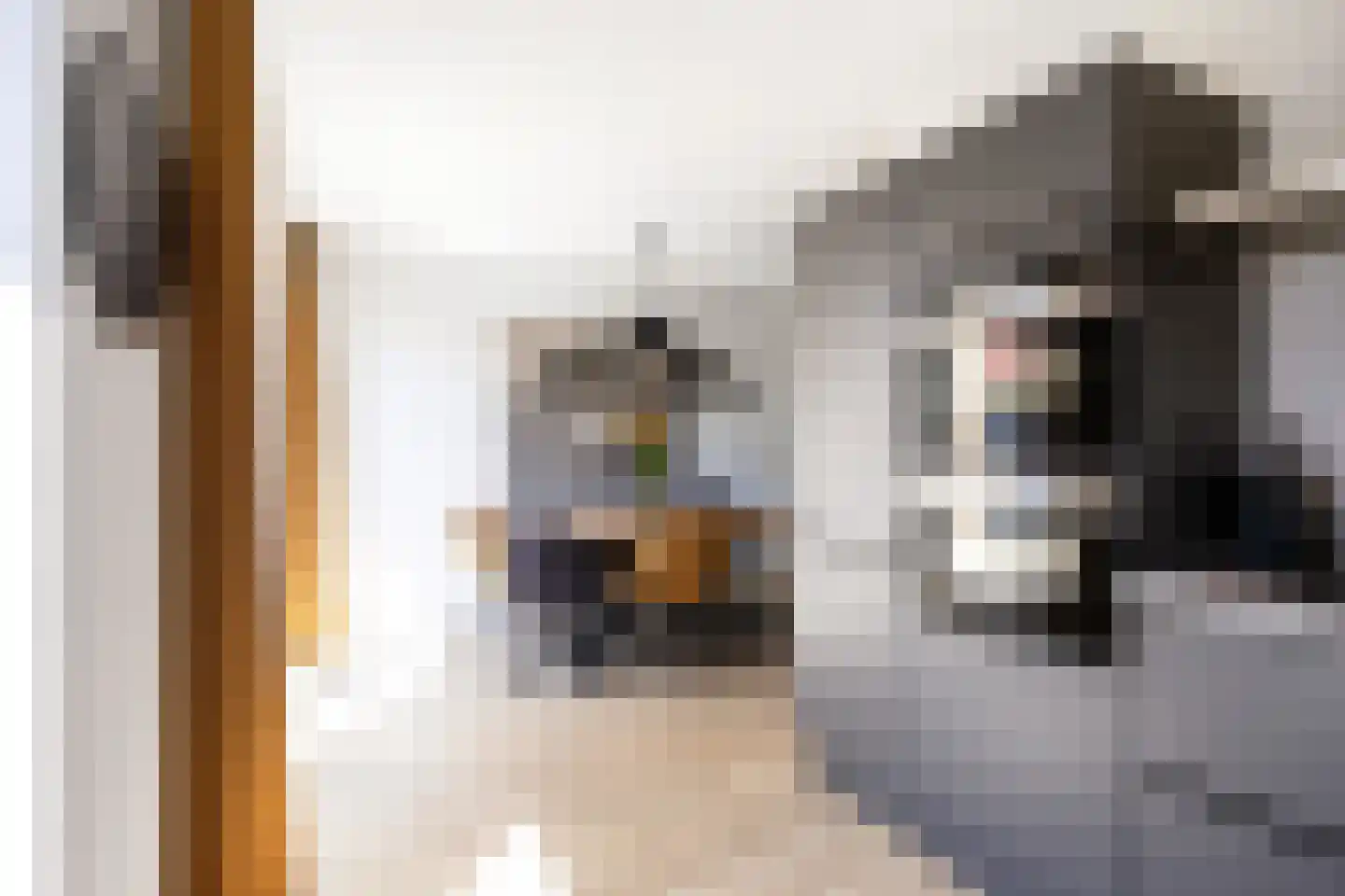 Anserstraat 6 Zuidhorn thumbnail 21