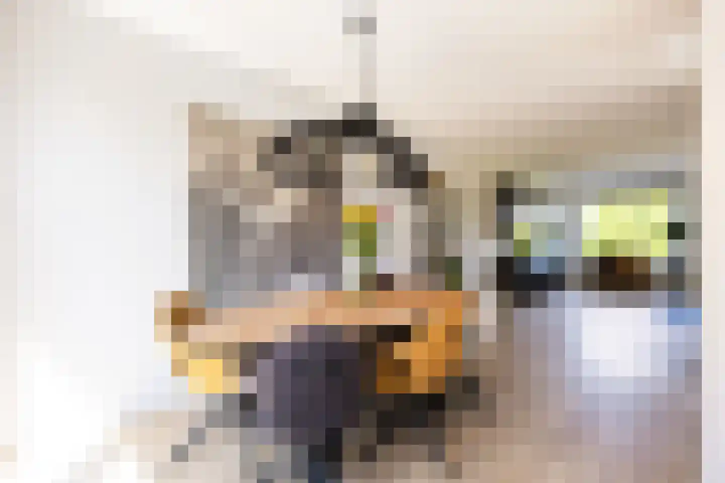 Anserstraat 6 Zuidhorn thumbnail 22