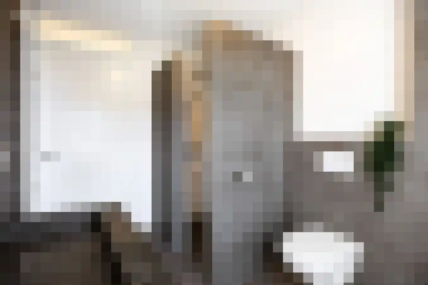 Anserstraat 6 Zuidhorn thumbnail 28
