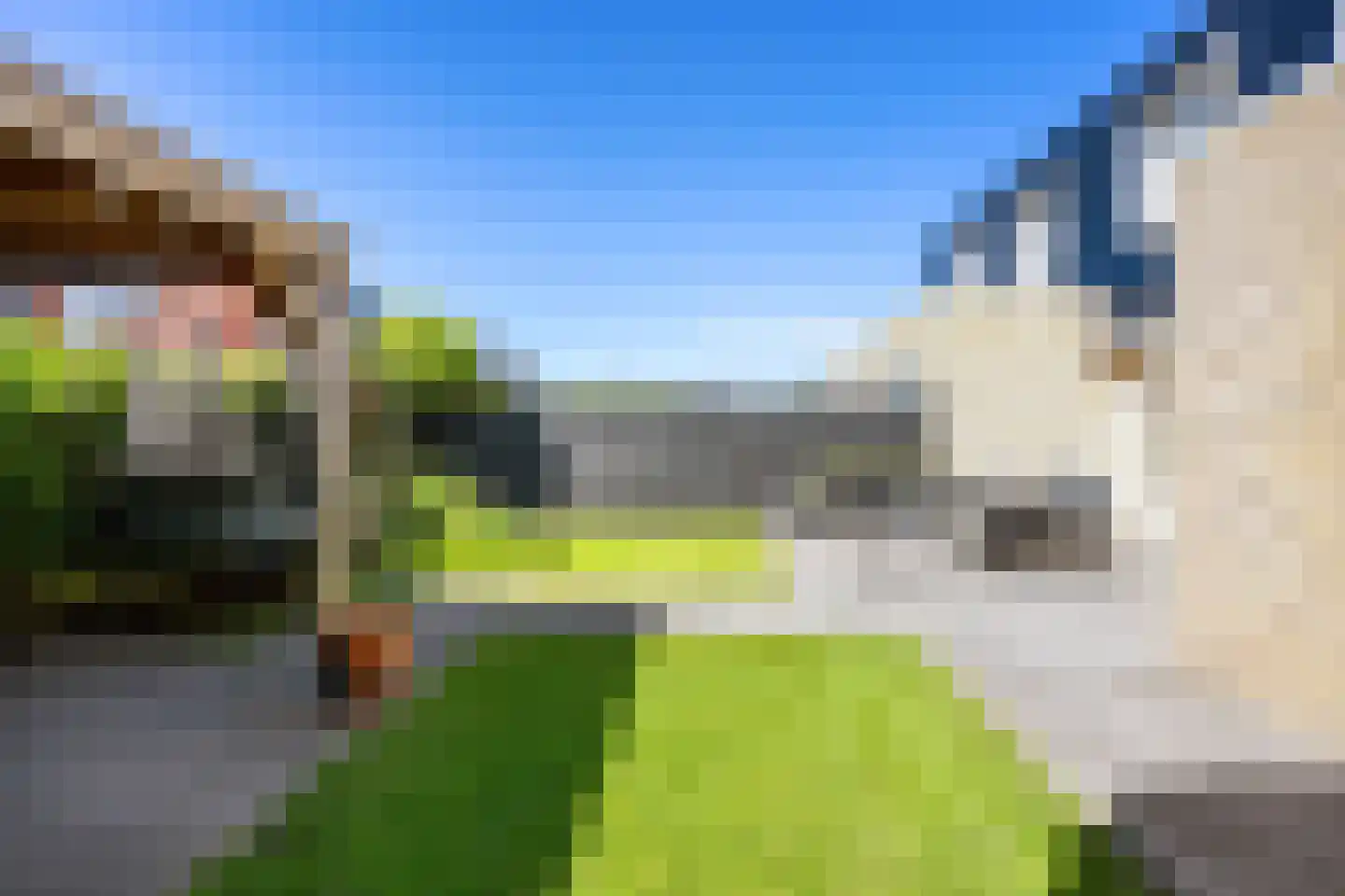 Anserstraat 6 Zuidhorn thumbnail 44