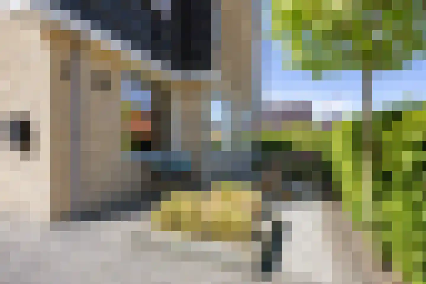 Anserstraat 6 Zuidhorn thumbnail 6