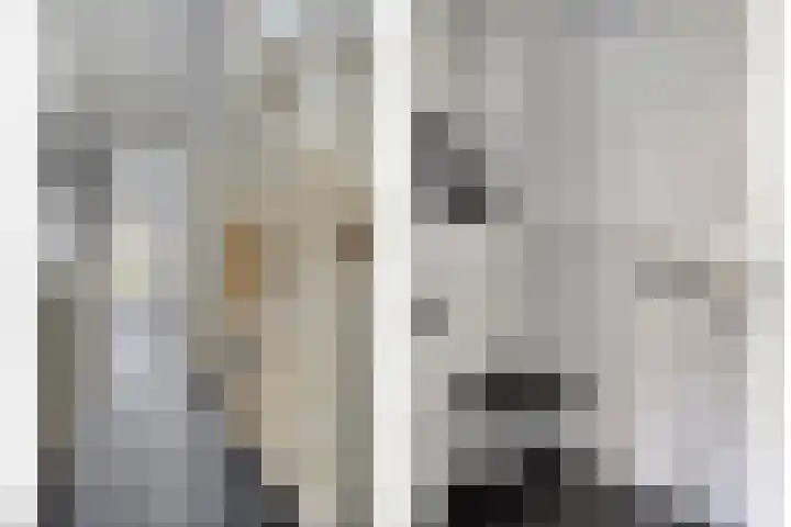 Ansfriduslaan 10 Leusden thumbnail 10