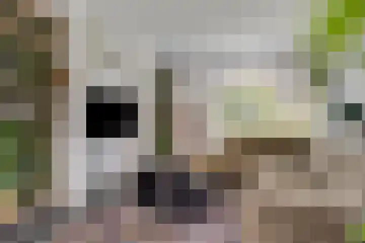 Ansfriduslaan 10 Leusden foto 2