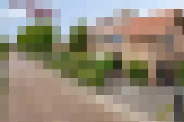 Ansfriduslaan 10 Leusden thumbnail 23