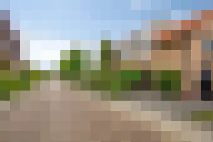 Ansfriduslaan 10 Leusden thumbnail 27