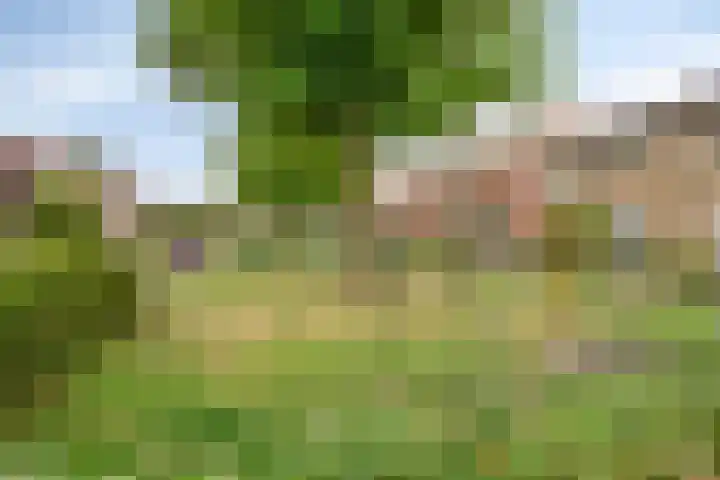 Ansfriduslaan 10 Leusden thumbnail 31