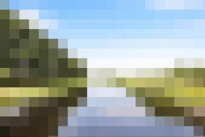 Ansfriduslaan 10 Leusden thumbnail 32