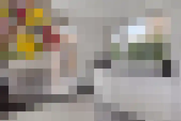 Ansfriduslaan 10 Leusden thumbnail 8