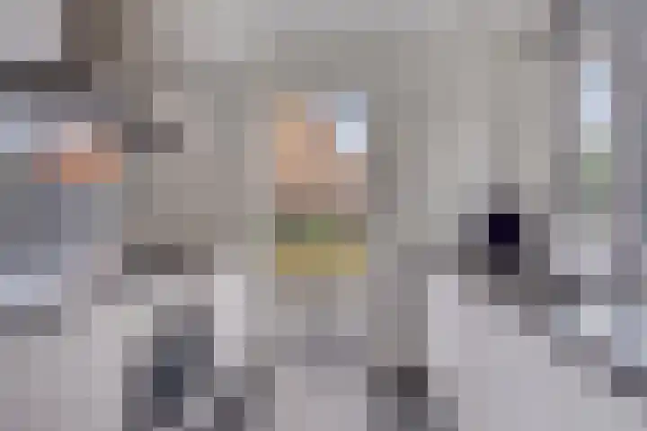 Ansfriduslaan 10 Leusden thumbnail 9