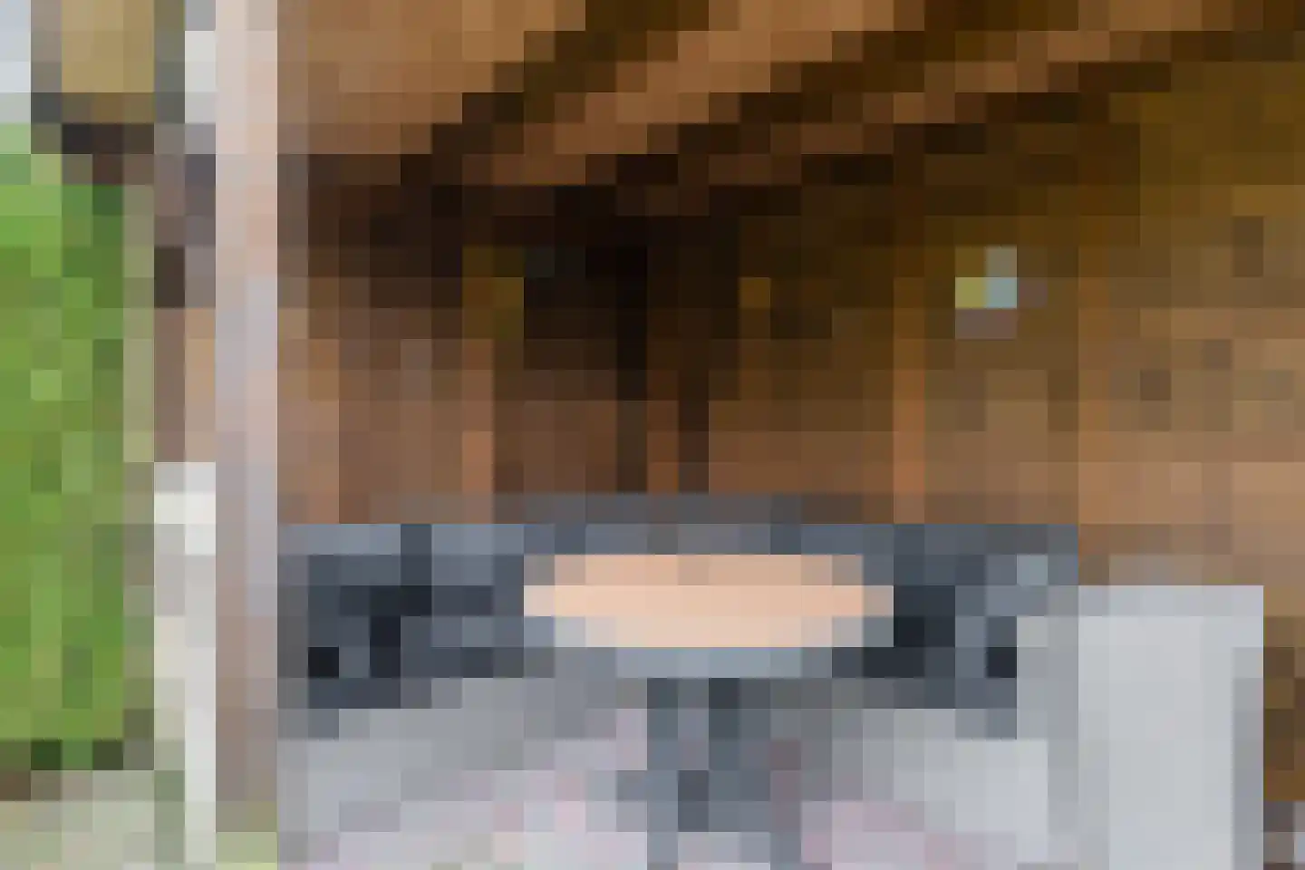 Ansfriduslaan 38 Leusden thumbnail 34
