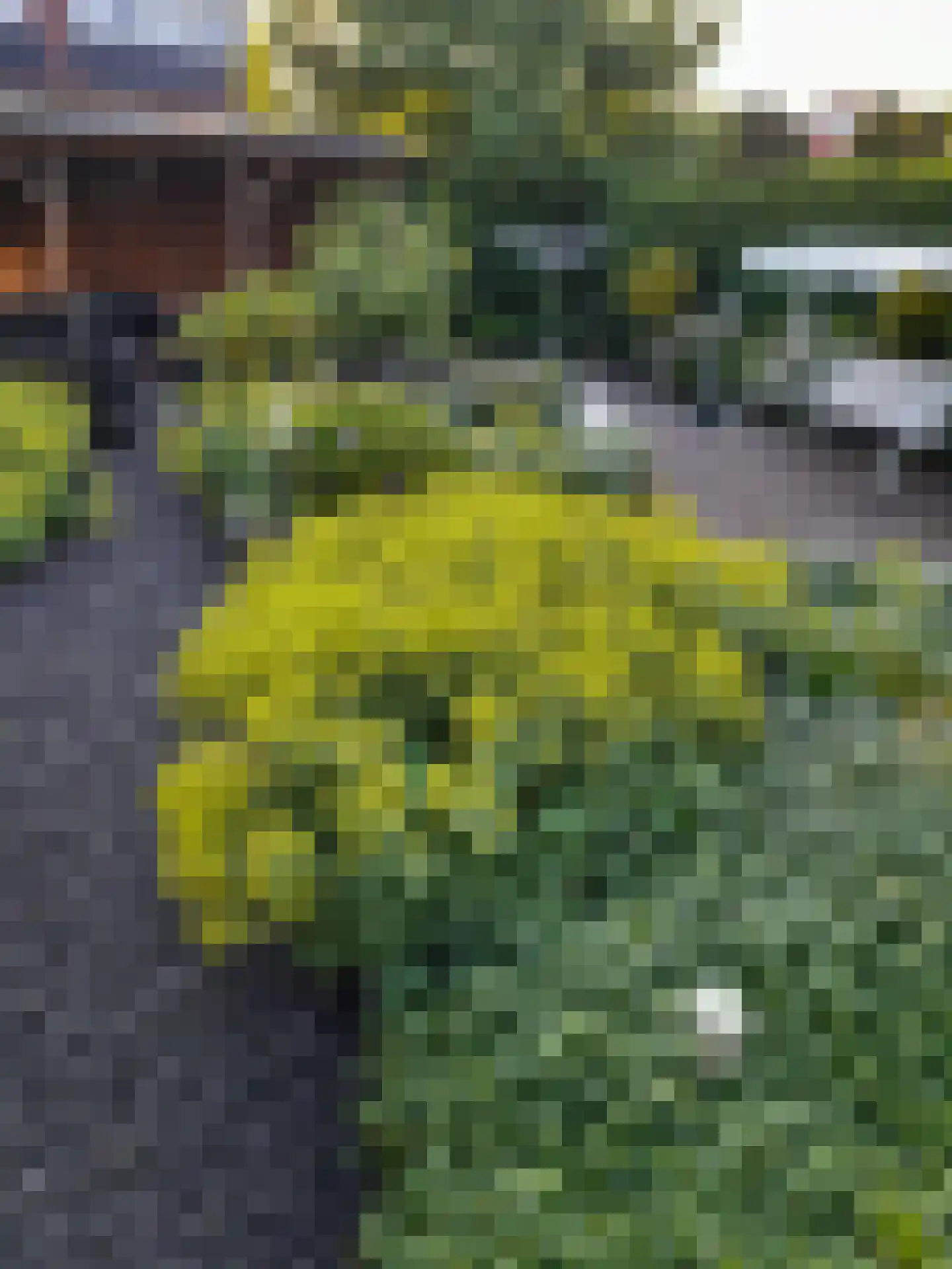 Ansfriduslaan 38 Leusden thumbnail 38