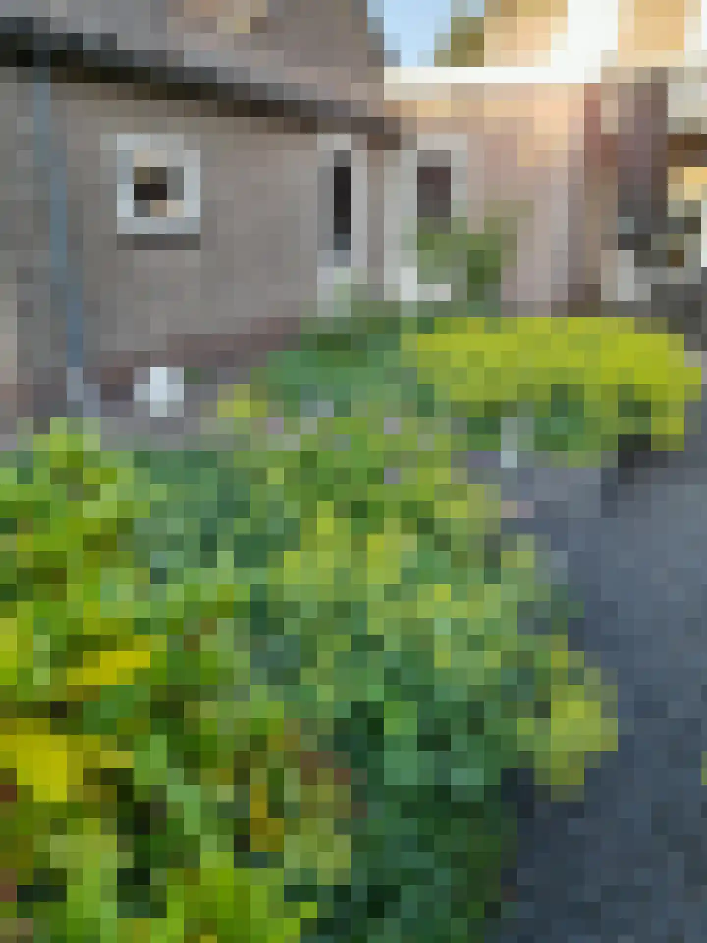 Ansfriduslaan 38 Leusden thumbnail 39