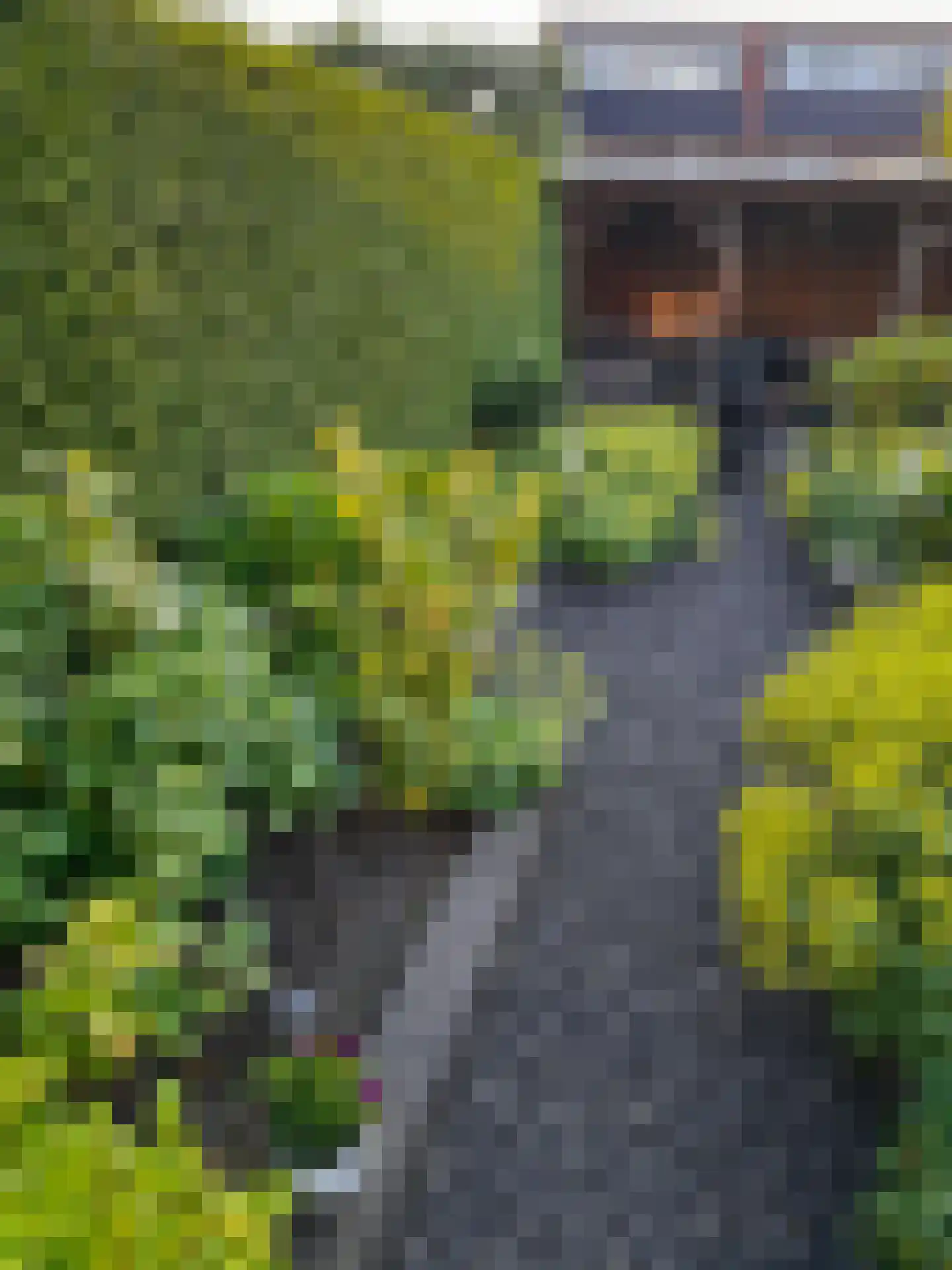 Ansfriduslaan 38 Leusden thumbnail 40