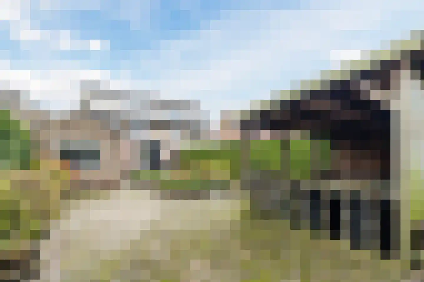 Ansfriduslaan 38 Leusden thumbnail 41