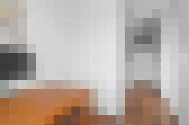 Ansfriedpad 32 Deventer thumbnail 17