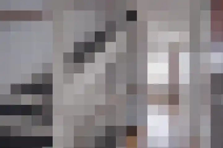 Ansfriedpad 44 Deventer thumbnail 32