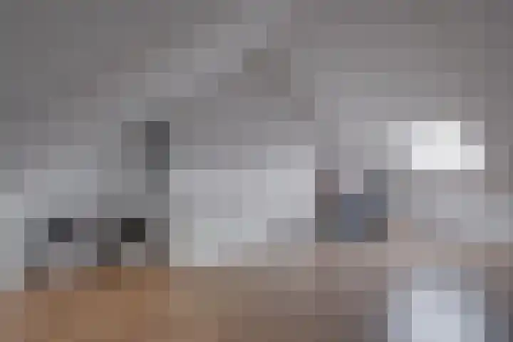 Ansfriedpad 44 Deventer thumbnail 36