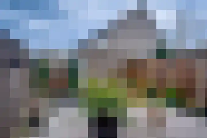 Ansfriedpad 44 Deventer thumbnail 38