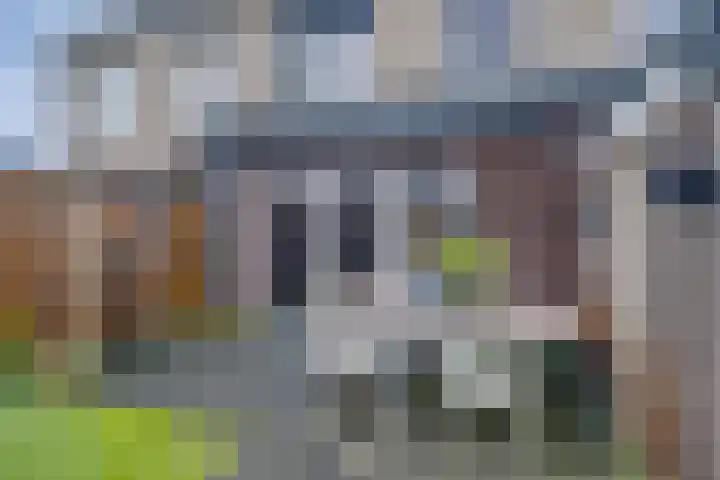 Ansfriedpad 44 Deventer thumbnail 39