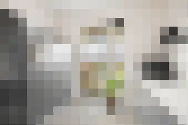 Ansfriedpad 52 Deventer thumbnail 11