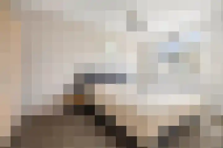 Ansfriedpad 52 Deventer thumbnail 16