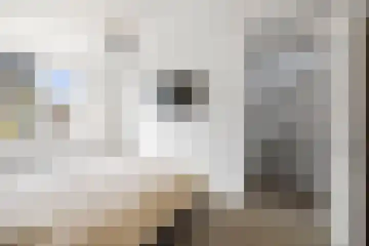 Ansfriedpad 52 Deventer thumbnail 17