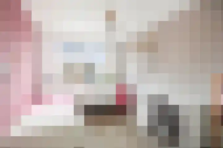 Ansfriedpad 52 Deventer thumbnail 18