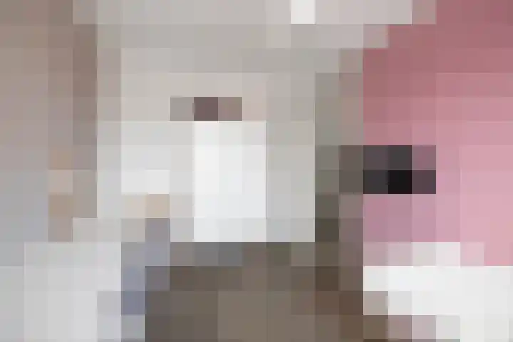 Ansfriedpad 52 Deventer thumbnail 19