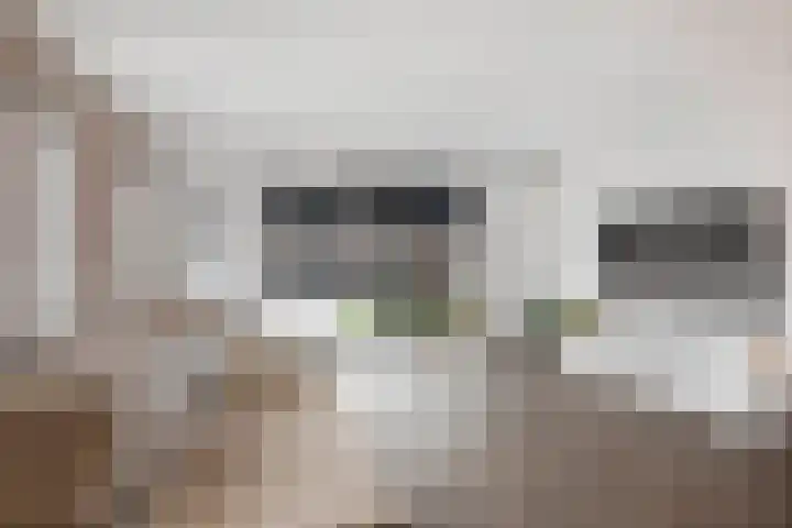 Ansfriedpad 52 Deventer thumbnail 6