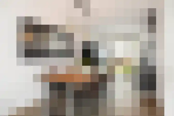 Ansfriedpad 52 Deventer thumbnail 9