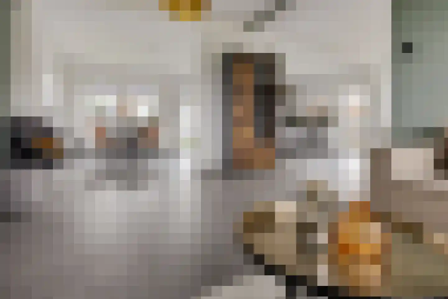 Ansfriedstraat 3 Thorn thumbnail 17