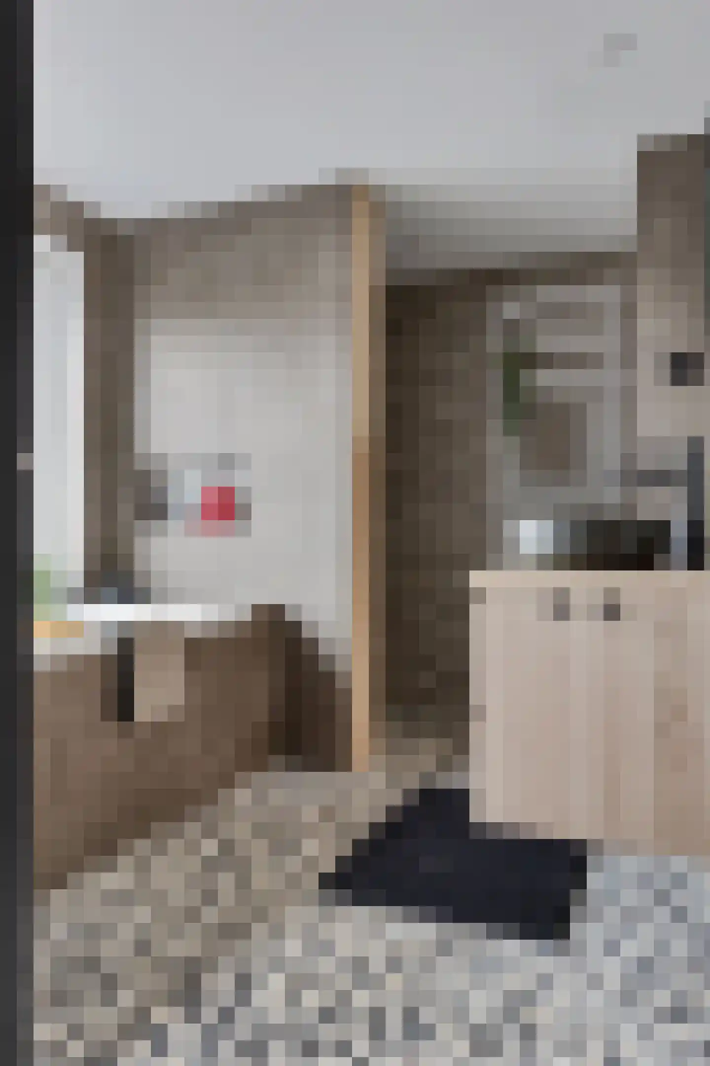 Ansfriedstraat 3 Thorn thumbnail 37