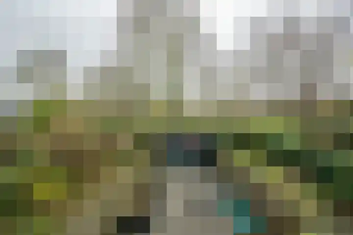 Ansinghlaan 46 Nieuwegein thumbnail 30