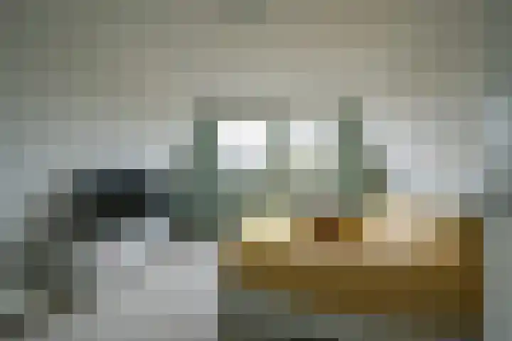 Ansinghlaan 46 Nieuwegein thumbnail 52