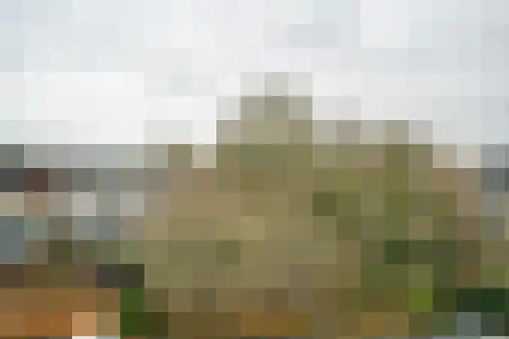 Ansinghlaan 46 Nieuwegein thumbnail 53