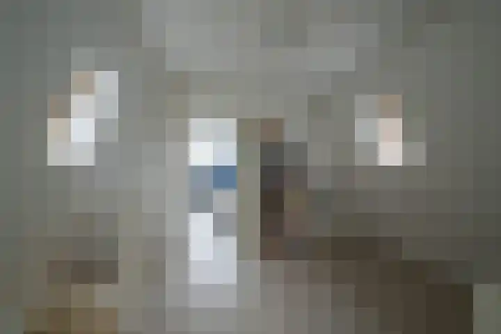 Ansinghlaan 46 Nieuwegein thumbnail 54