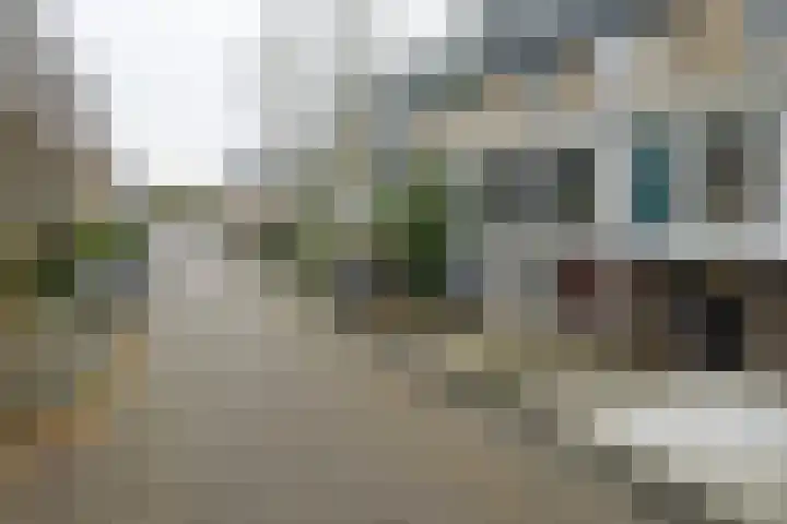Ansinghlaan 46 Nieuwegein thumbnail 56