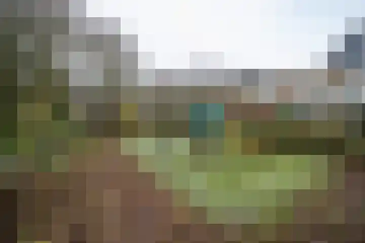 Ansinghlaan 46 Nieuwegein thumbnail 57