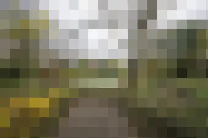 Ansinghlaan 46 Nieuwegein thumbnail 58