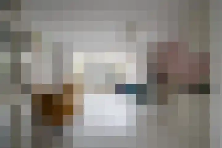 Ansinghlaan 46 Nieuwegein thumbnail 7