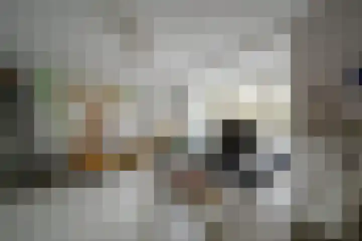 Ansinghlaan 46 Nieuwegein thumbnail 9