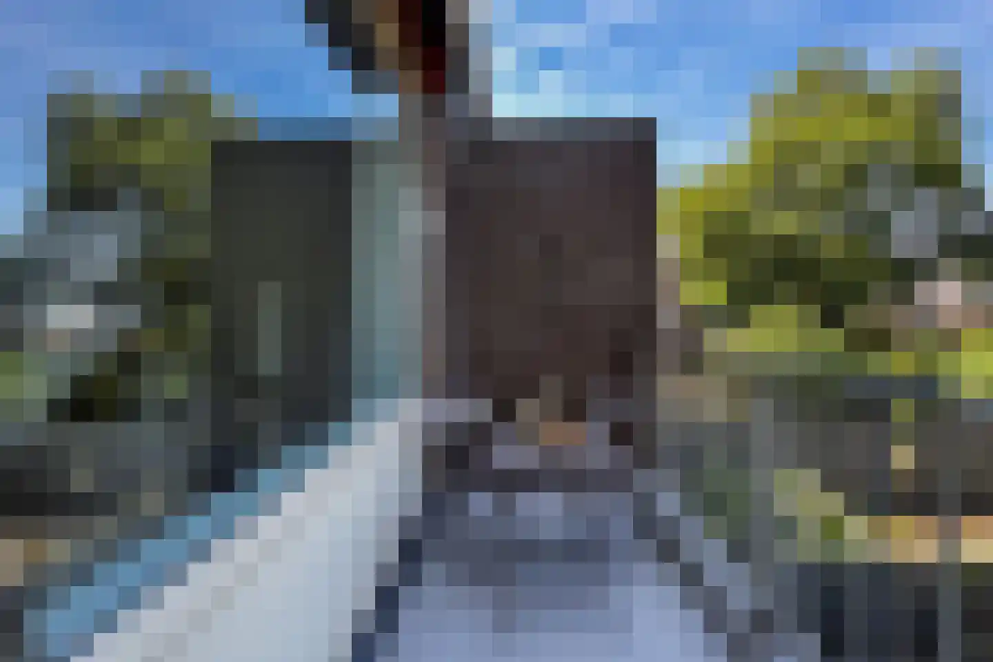 Ansinghlaan 54 Nieuwegein thumbnail 30
