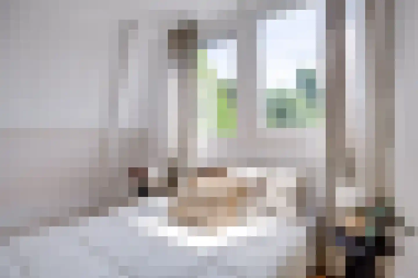 Ansinghlaan 54 Nieuwegein thumbnail 44