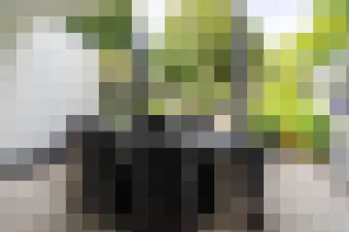 Ansinghlaan 56 Nieuwegein thumbnail 14