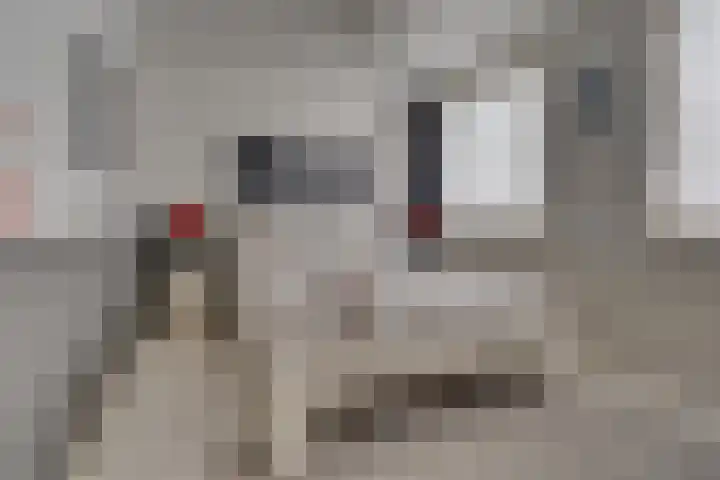 Ansinghlaan 56 Nieuwegein thumbnail 32
