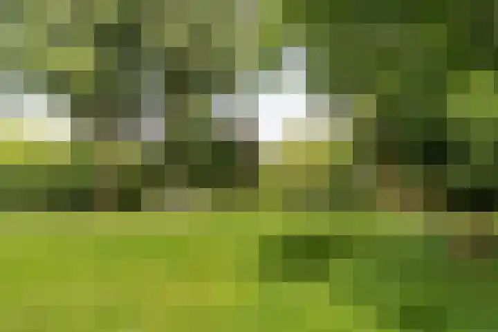 Ansinghlaan 56 Nieuwegein thumbnail 39