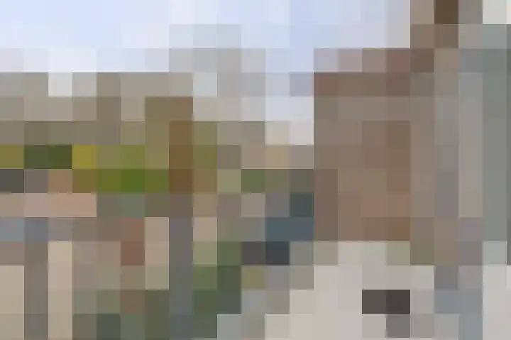 Ansinghlaan 60 Nieuwegein thumbnail 16