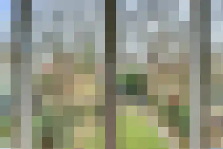 Ansinghlaan 60 Nieuwegein thumbnail 4